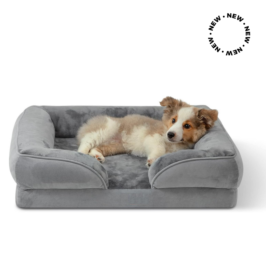 PupShow™ Premium Orthopedic Memory Foam Bed©