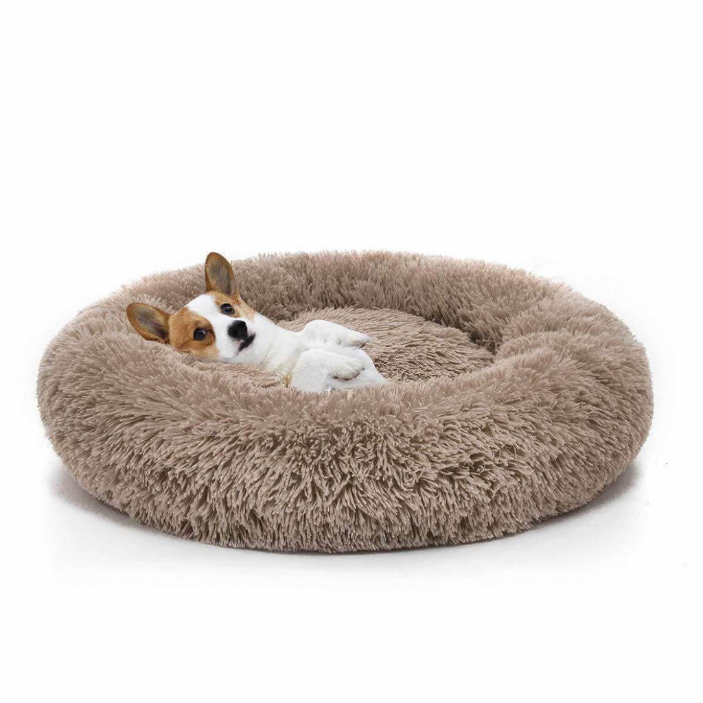 Orthopedic Dog Beds made in Los Angeles, USA